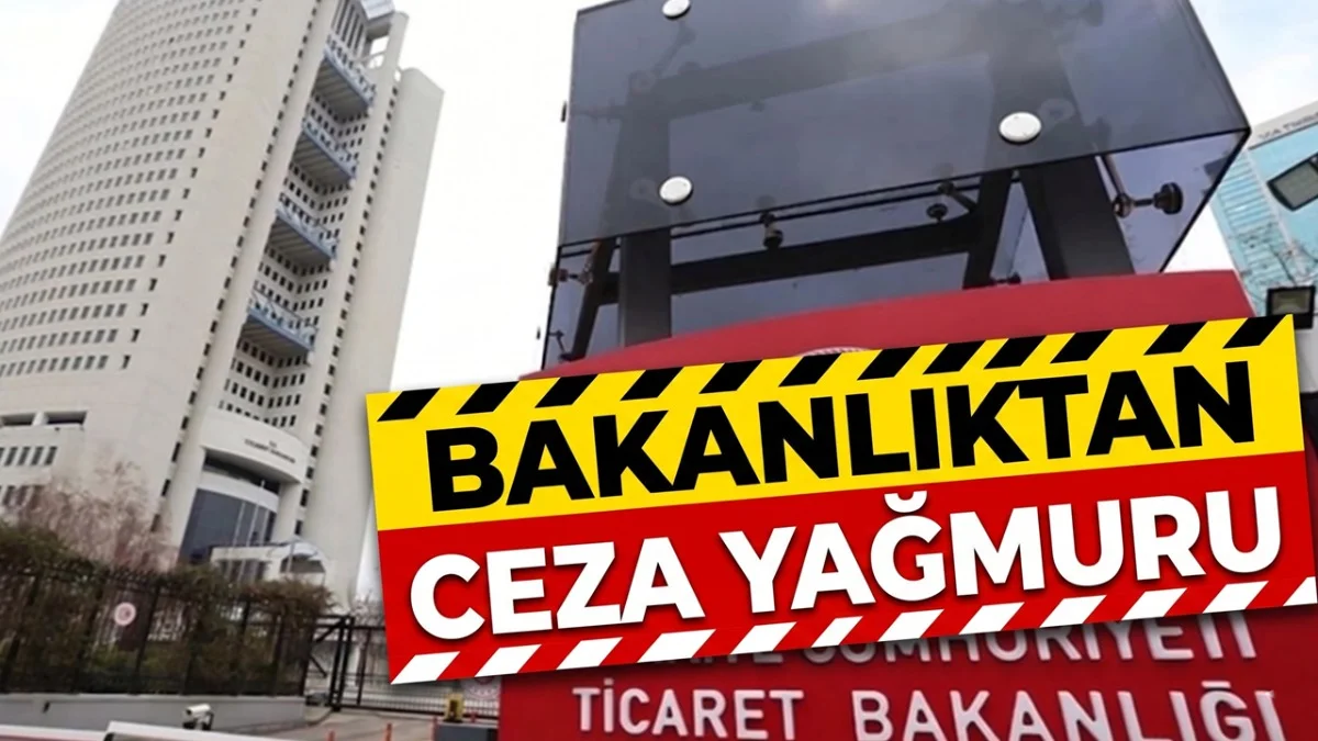 Bakanlık Sahaya İndi: 49 Milyon TL Ceza Kesildi - Gündem Haberleri